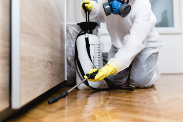Best Residential Pest Control  in Soperton, GA