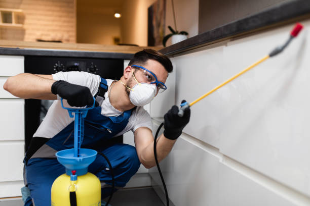 Trusted Soperton, GA Pest Control Experts