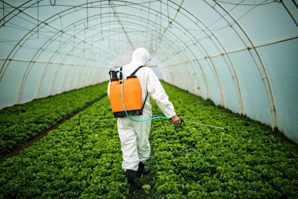 Best Pest Control Near Me  in Soperton, GA