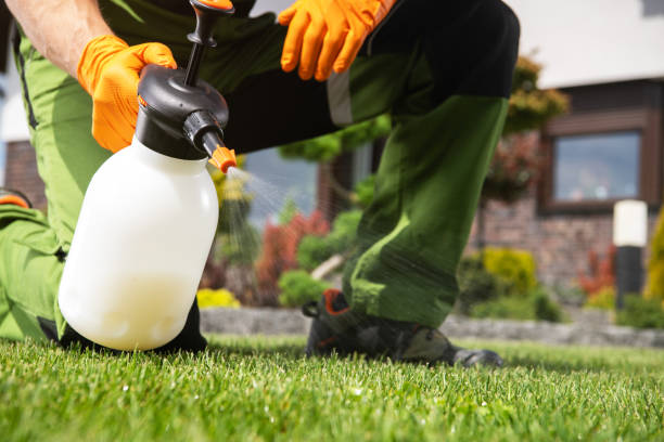 Best Local Pest Control Services  in Soperton, GA