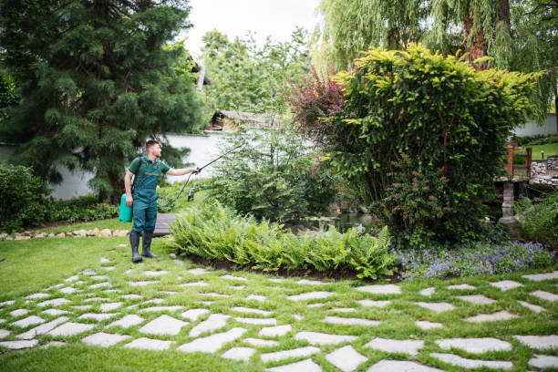 Best Best Pest Control Companies  in Soperton, GA