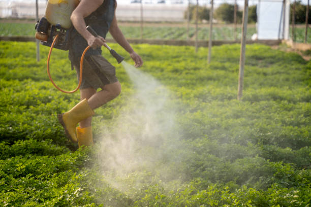 Reliable Soperton, GA Pest Control Solutions
