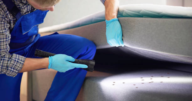 Best Pest Control Near Me  in Soperton, GA