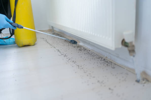 Best Residential Pest Control  in Soperton, GA
