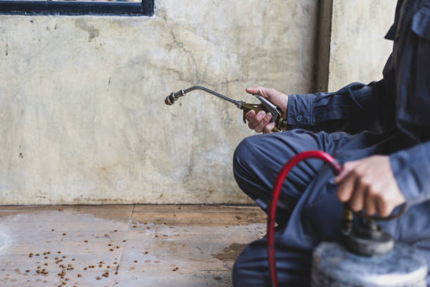 Pest Control Cost in Soperton, GA