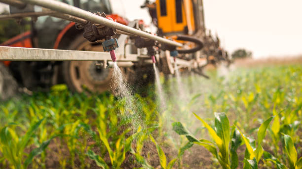 Pest Prevention Services in Soperton, GA